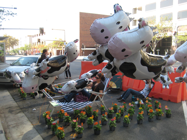 Cows01